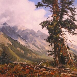 Landscapes